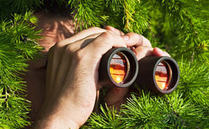 Workers Compensation Fraud Investigations and Surveillance in KC